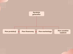 Struktura Organizacyjna W Firmie 2024 - Jak Może Wyglądać?