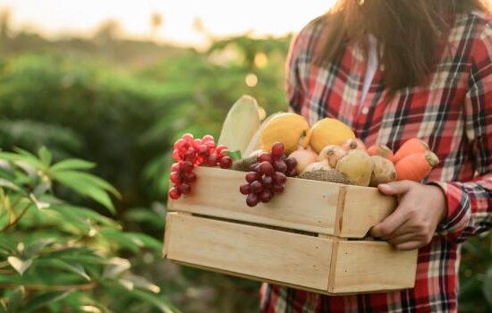 Praca sezonowa w Polsce 2025 i praca sezonowa za granicą
