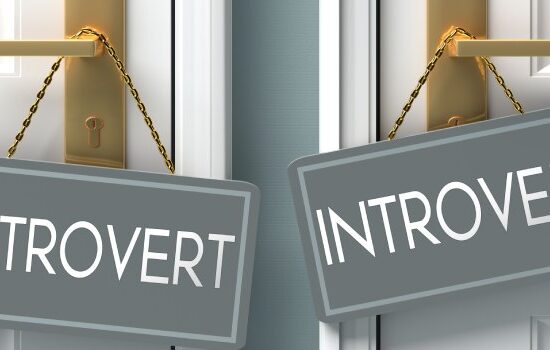 Kto to introwertyk? Jakie są typowe zachowania introwertyka? Jaki zawód dla introwertyka?