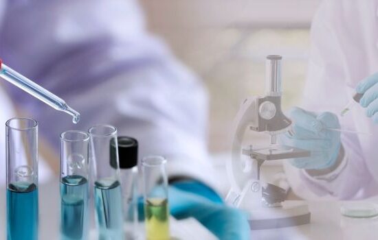 Studia biologiczne – na czym polegają studia związane z biologią i jakie otwierają możliwości?