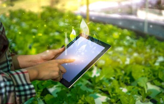 Studia rolnicze – wszystko co musisz wiedzieć