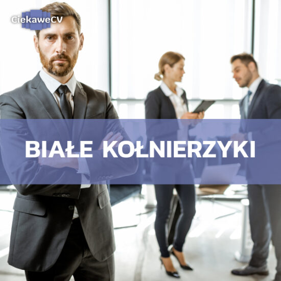 Managerowie, specjaliści, analitycy – kto kryje się pod pojęciem białe kołnierzyki?