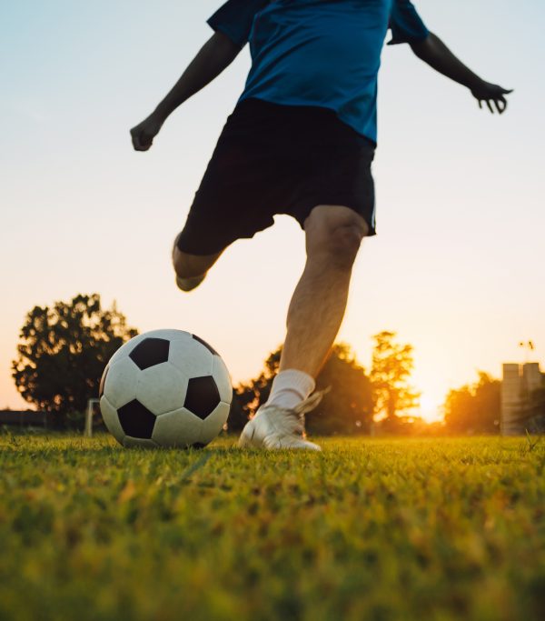 cv sportowca wzór