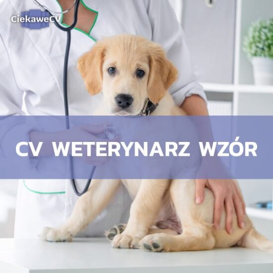 CV weterynarz wzór i porady, które przybliżą Cię do wymarzonej pracy