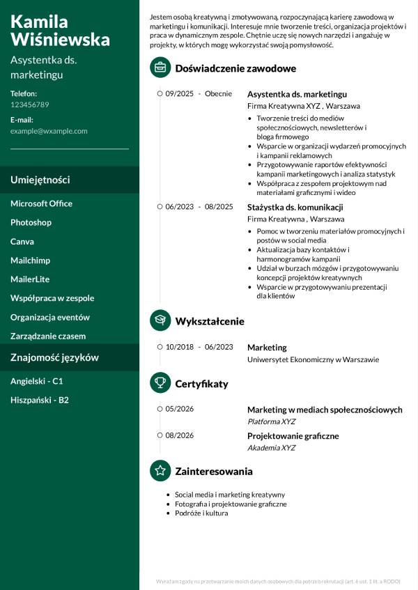 Cv wzor do wypelnienia bez zdjecia