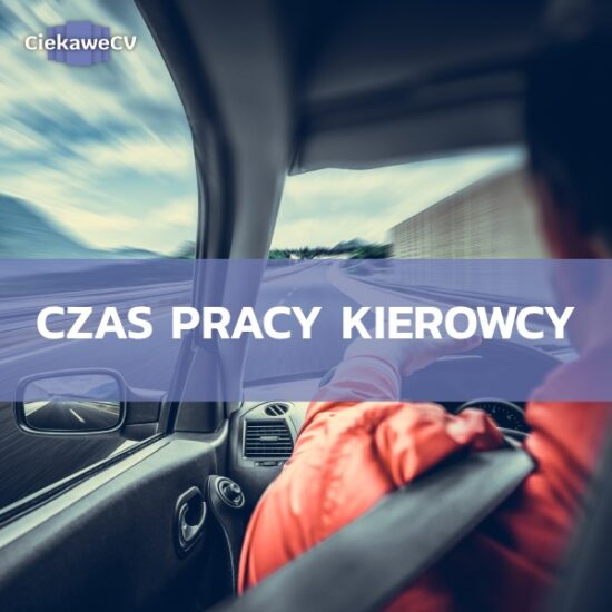 Ile wynosi czas pracy kierowcy zawodowego? Ile kierowca może jechać, a ile trwa pauza kierowcy?