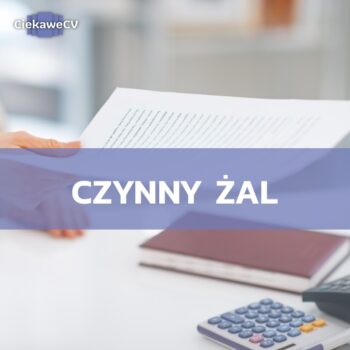 Czynny zal