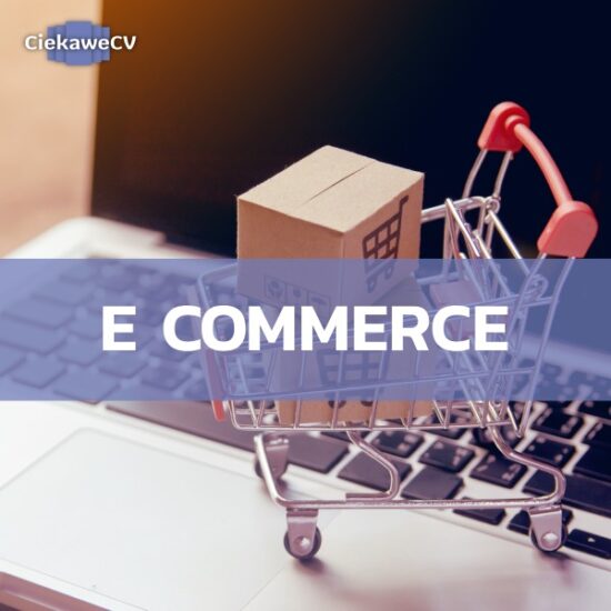E commerce co to? Wszystko, co musisz wiedzieć o handlu eletronicznym