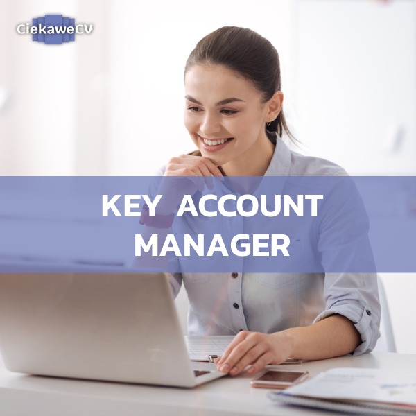 Key account manager