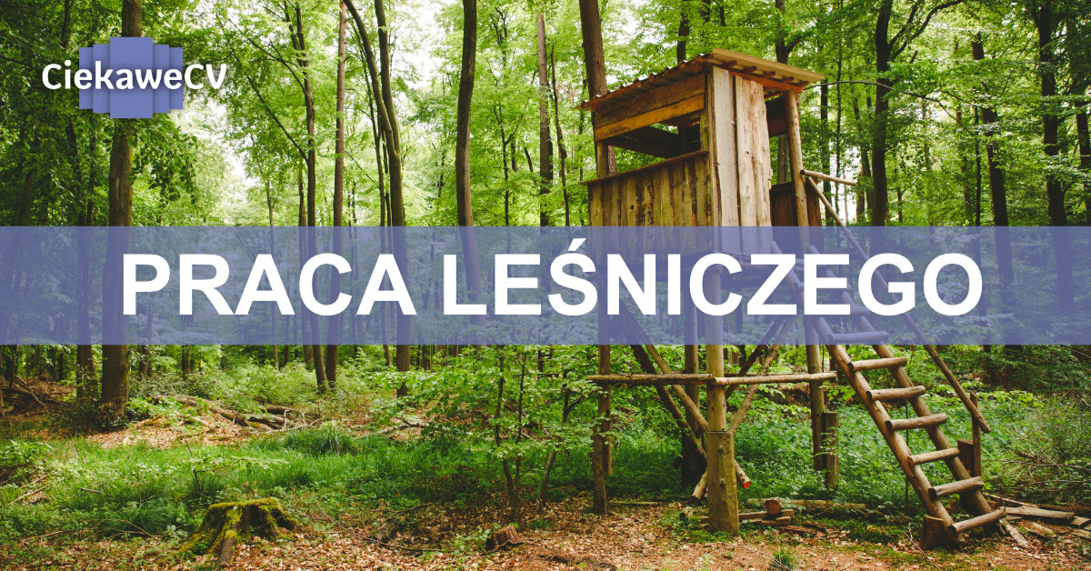 praca leśniczego
