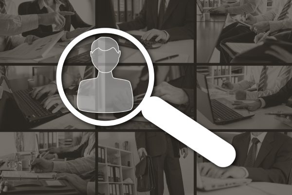 Wzor cv bez wyksztalcenia